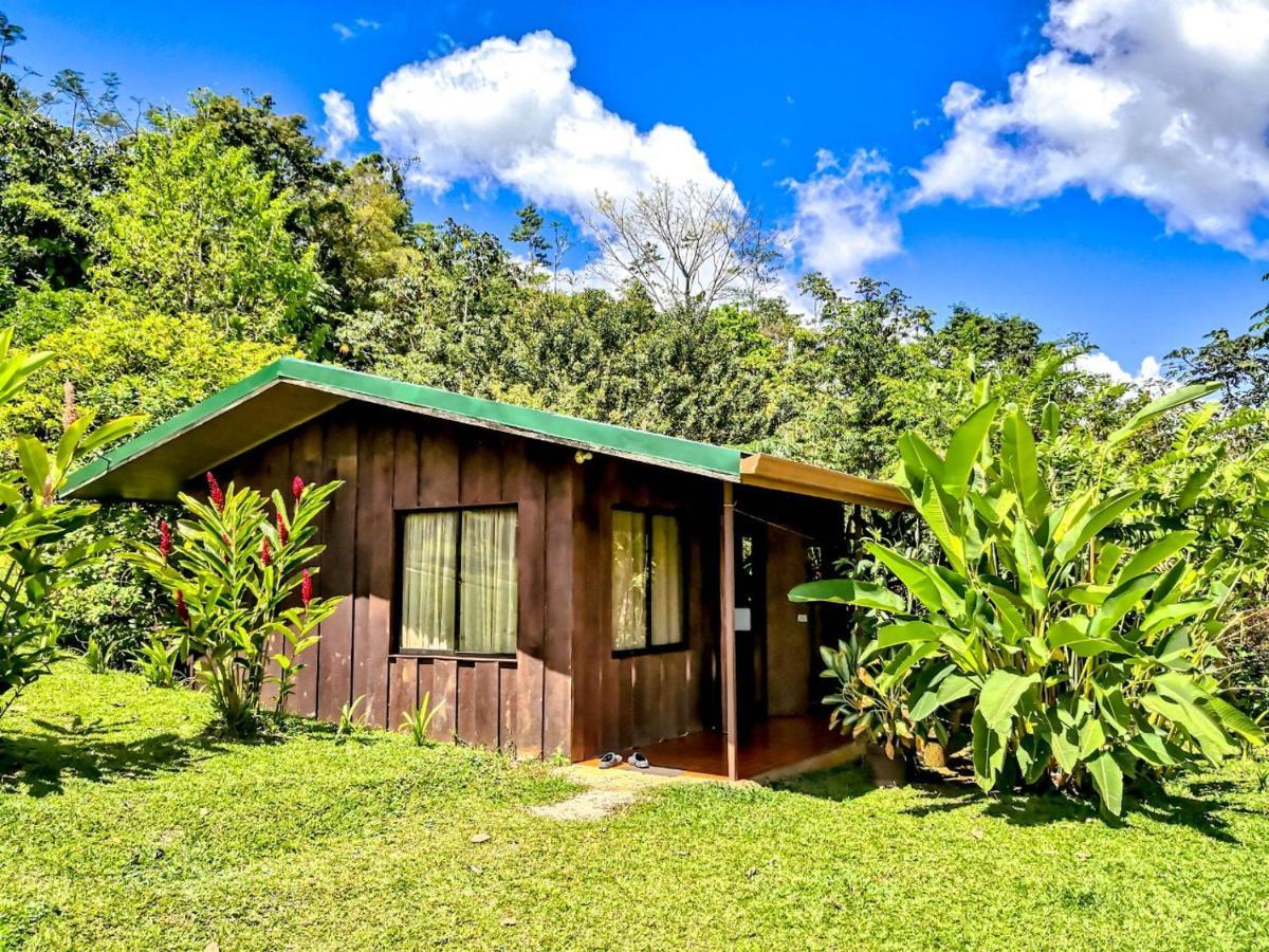 Rio Celeste Cabanas Montanas Del Tenorio מראה חיצוני תמונה