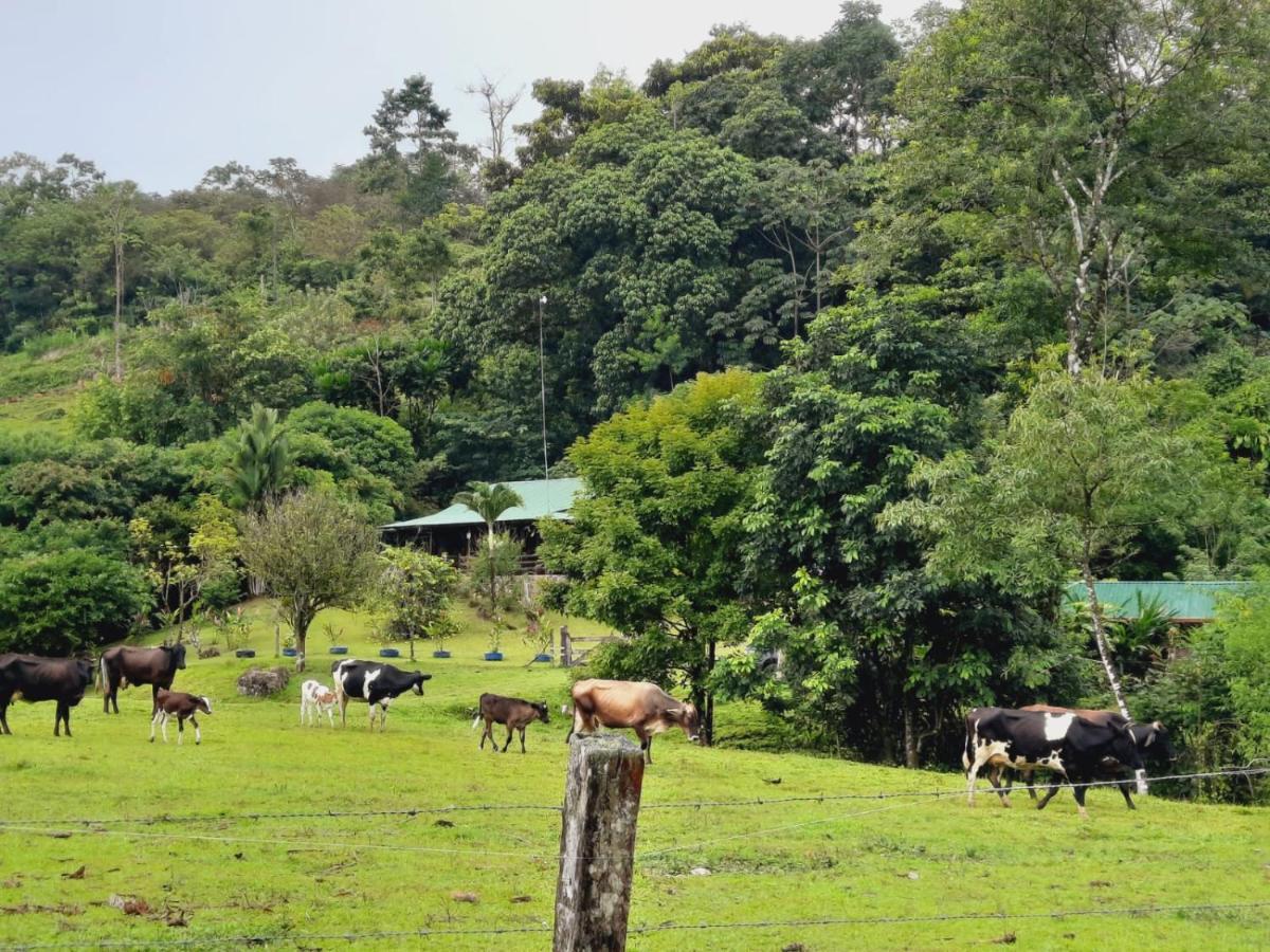 Rio Celeste Cabanas Montanas Del Tenorio מראה חיצוני תמונה