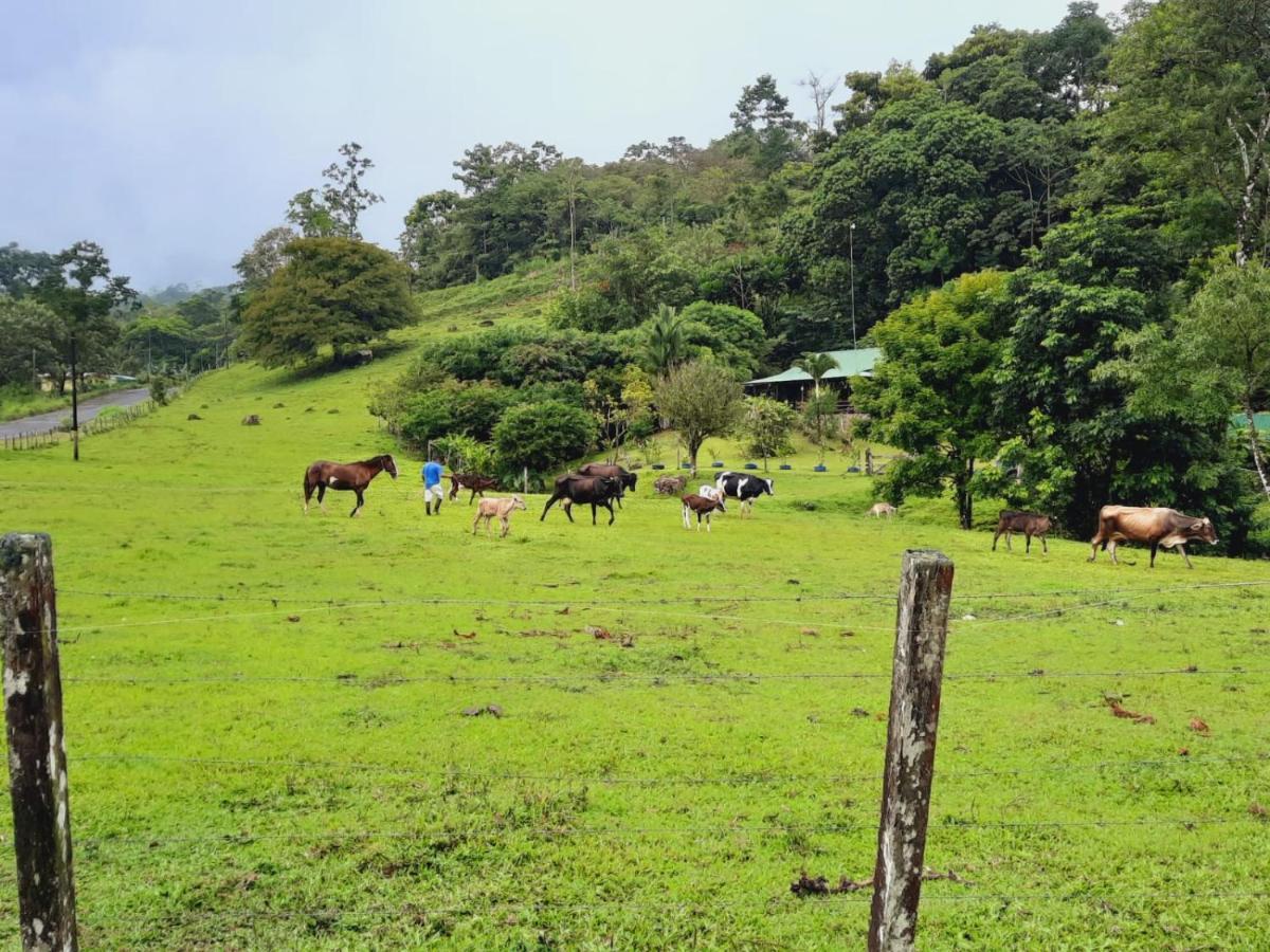 Rio Celeste Cabanas Montanas Del Tenorio מראה חיצוני תמונה